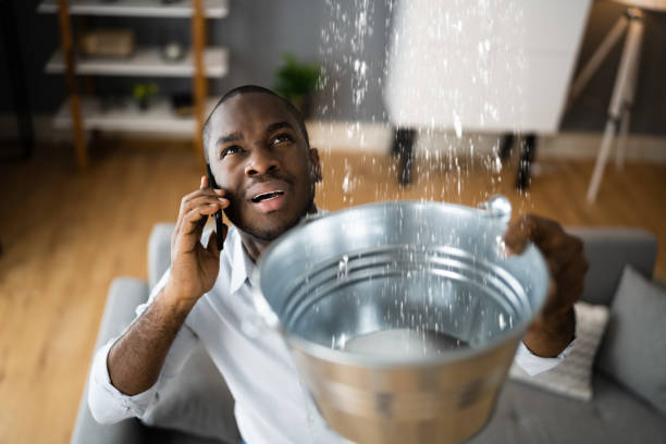 Best Water damage restoration near me  in Barneveld, WI