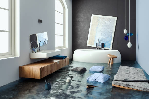 Best Ceiling water damage repair  in Barneveld, WI