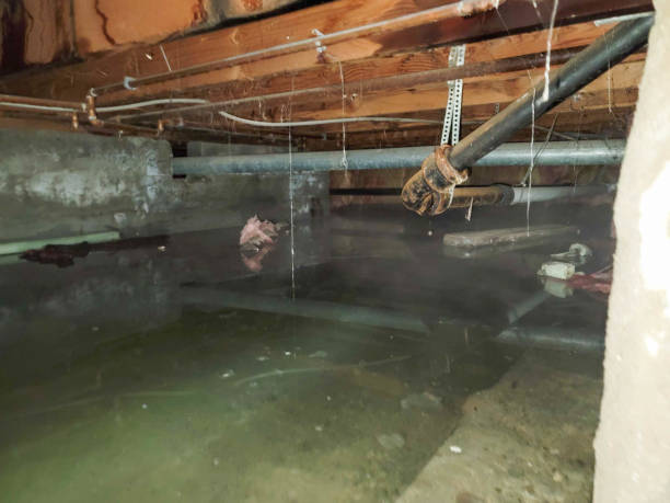 Best Water damage restoration company  in Barneveld, WI