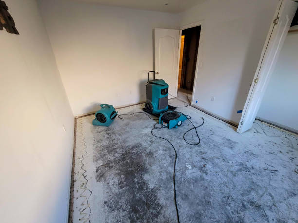 Best 24/7 water damage repair  in Barneveld, WI