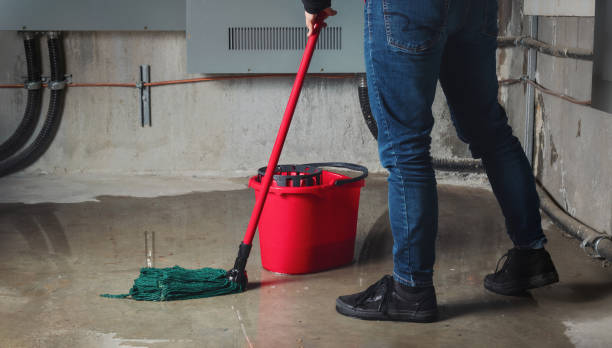 Best Flood damage cleanup  in Barneveld, WI