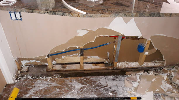 Best Flooded house restoration  in Barneveld, WI