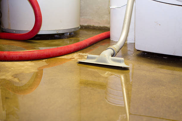 Best Mold removal after water damage  in Barneveld, WI