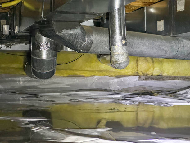 Best Water damage repair service  in Barneveld, WI