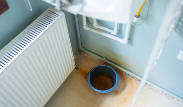 Best Carpet water damage restoration  in Barneveld, WI